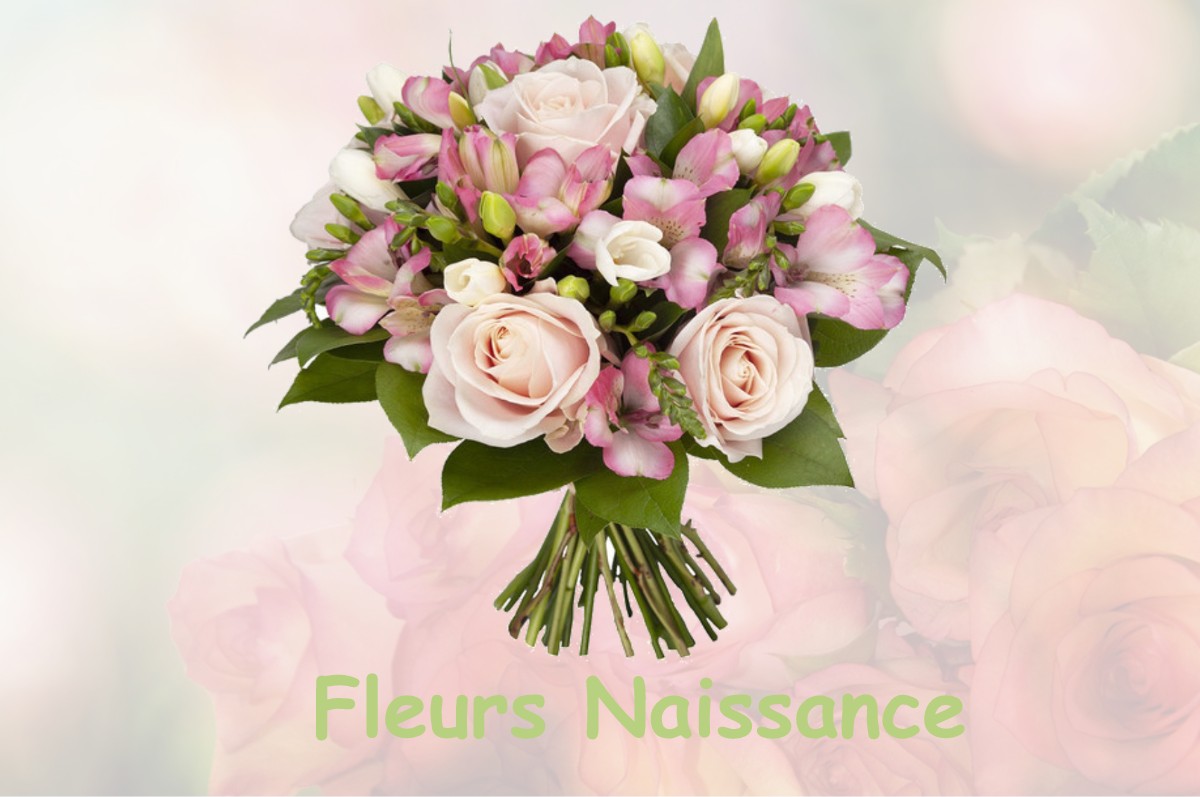 fleurs naissance LA-BOUSSAC